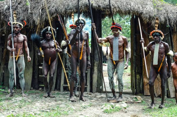 племенные мужчины папуанов - dani стоковые фото и изображения