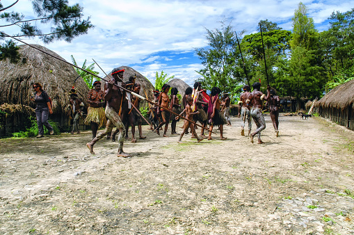 Wamena, Indonesia - October 07, 2008: The Dani people are a people from the central highlands of western New Guinea (the Indonesian province of Papua).\nThey are one of the most populous tribes in the highlands, and are found spread out through the highlands.