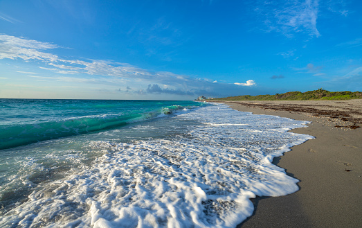 Florida beach with beautiful waves and sea foam on the sand.