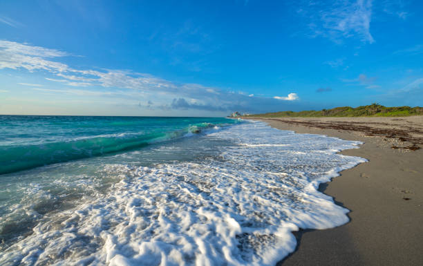 Florida beach with beautiful waves and sea foam on the sand. Ocean waves and sea foam on the beach. Buildings in the background. Copy space. Juno Beach, Florida, USA. atlantic ocean stock pictures, royalty-free photos & images
