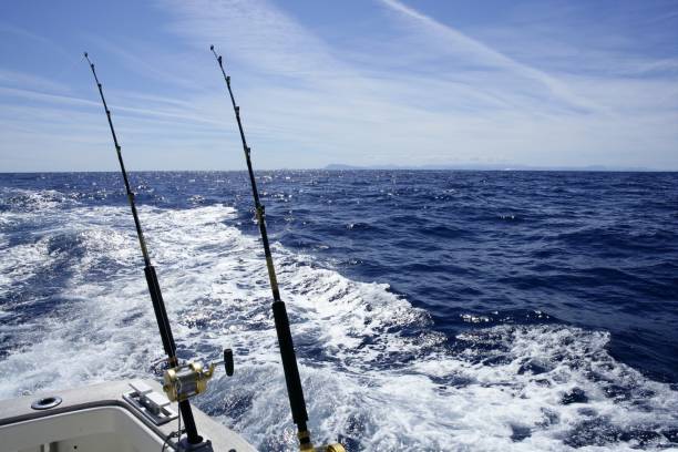 istock Fishing on the boat with trolling rod and reel. 1336310766