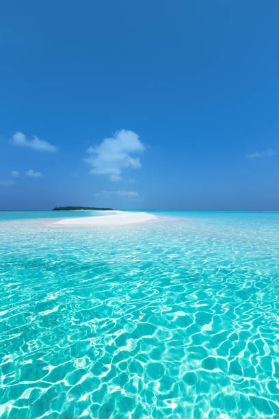 Maldivian sandbank in Indian ocean
