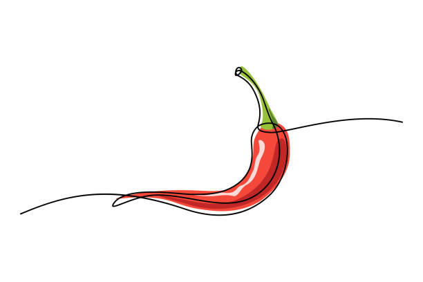 Red chili pepper Red chili pepper design in continuous line art drawing style. Hot spice chilli isolated on white background. Vector illustration chilli powder stock illustrations