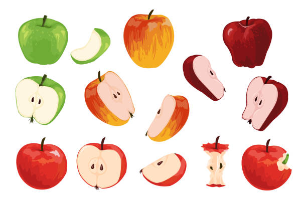 illustrazioni stock, clip art, cartoni animati e icone di tendenza di mela. cartone animato mezzo pieno e quarto di frutta con verme. collezione di cibo vegetariano orchard. piante vitaminiche succose mature per un'alimentazione sana. set di prodotti verdi o rossi biologici vettoriali - half full apple green fruit