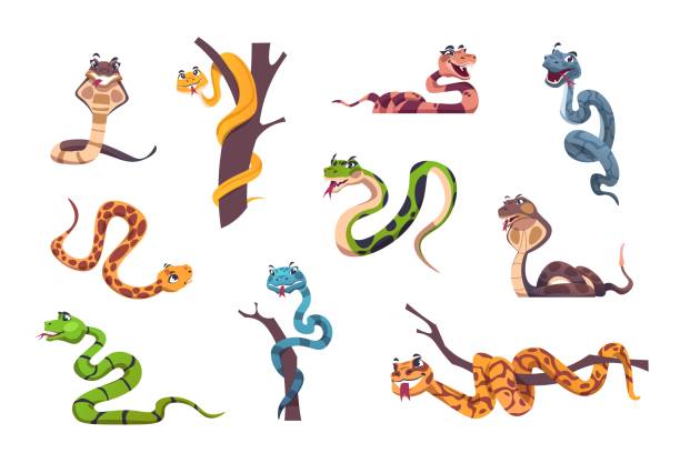 postać węży. urocza maskotka zwierząt z zabawnymi emocjami twarzy dla ilustracji dla dzieci. dziki o tropikalnej naturze. pasiaste lub cętkowane pełzające drapieżniki. wektorowy zestaw egzotycznych węży - snake stock illustrations