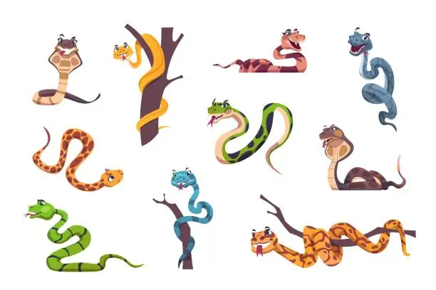 Vector illustration of Snakes character. Cute animal mascot with funny face emotions for kids illustration. Wild reptile of tropical nature. Striped or spotted creeping predators. Vector exotic serpents set