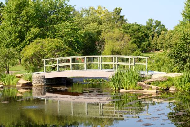 istock Old Wooden Bridge 1336319535