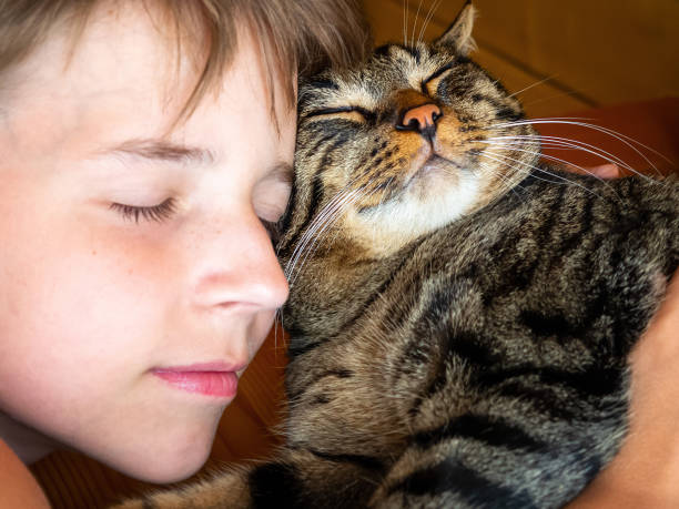 istock A boy and a striped cat, friends. 1336319723