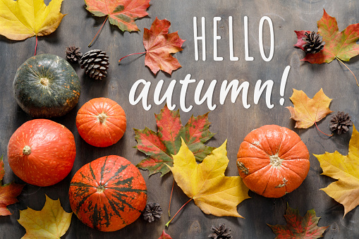 Autumn mood composition with celebration text Hello Autumn. Fallen leaves and pumpkins on wooden table background. Happy Thanksgiving, autumn concept. Flat lay, top view, copy space
