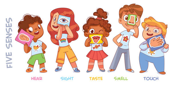 Five senses. Sight, hear, smell, taste, touch Five senses. Sight, hear, smell, taste, touch. Colorful cartoon characters. Funny vector illustration. Isolated on white background funny ear stock illustrations