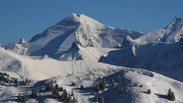 catene montuose dell'oberland bernese in inverno. - bernese oberland gstaad winter snow foto e immagini stock
