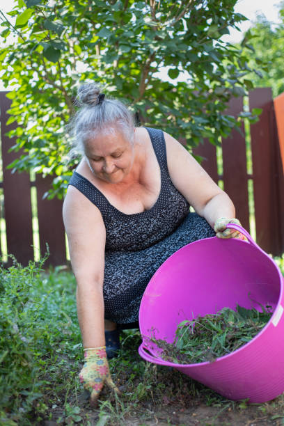 senior woman working on her farm - senior women rose women flower bed imagens e fotografias de stock