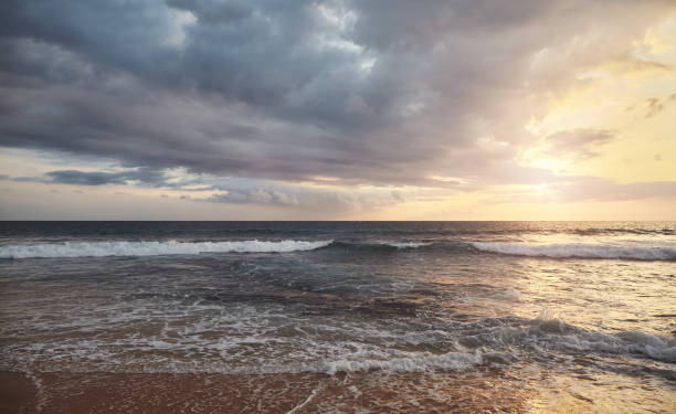 istock Tropical seascape at sunset, Sri Lanka. 1336325001