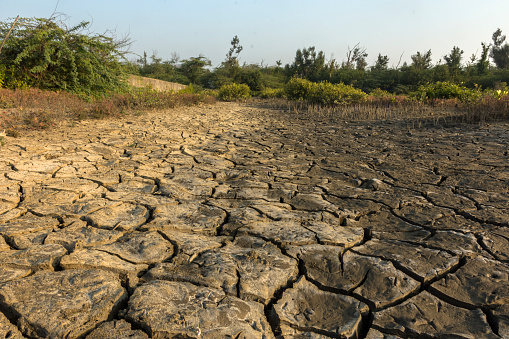 dry field with natural texture of cracked clay. Soil drought cracked landscape. Global warming concept.
