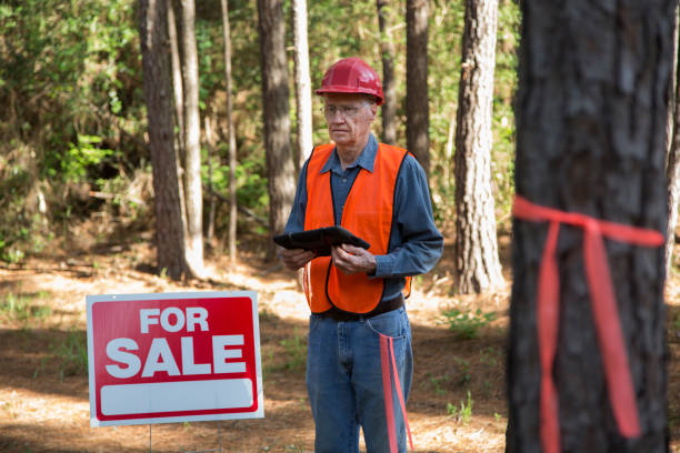 istock Construction manager marking trees for be cut.  He carries a digital tablet and wears a safety vest and hard hat.  For sale sign is on the premises. 1336331204