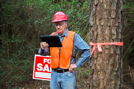 Construction manager marking trees for be cut.  He carries a digital tablet and wears a safety vest and hard hat.  For sale sign is on the premises.