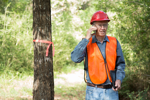 Construction manager marking trees for be cut.  He carries a digital tablet and wears a safety vest and hard hat.