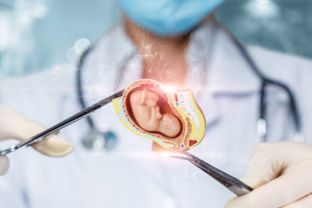 istock Concept of surgical intervention in the human embryo. 1336336412