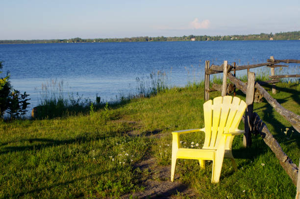 istock cheerful yellow Adirondack chair on grass by river with blue sky copy space 1336336661
