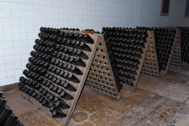 istock Wine bottles are aged in dark cellar or basement. Background 1336344138