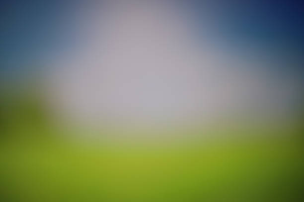 Beautiful and bright blurred background. Defocused image. Soft drawing of a portrait lens. Attractive bokeh