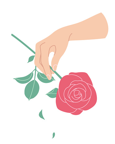 Female hand holding branch of blooming rose. Simple woman hand with red flower isolated on white background.  Romantic floral design element. Vector flat illustration.