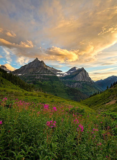 istock Glacier National Park Mountain Scene 133634655
