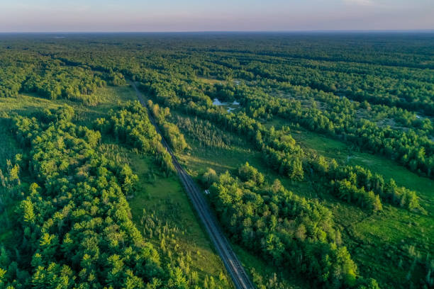 Muskoka Torrance Barrens Dark-Sky Preserve at dusk, Gravenhurst, Canada Gravenhurst, Canada. railroad track stock pictures, royalty-free photos & images