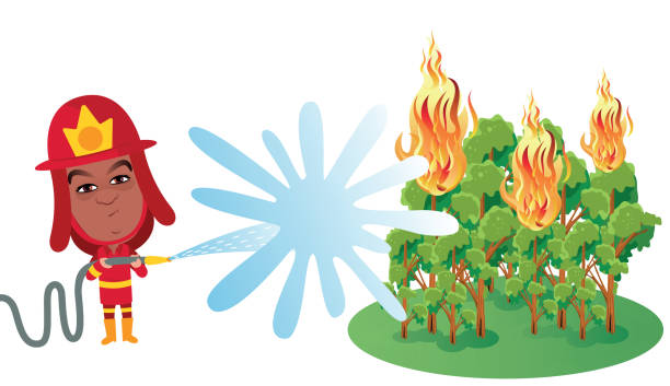 불타는 숲을 소화하는 소방관 - hose water spraying cartoon stock illustrations