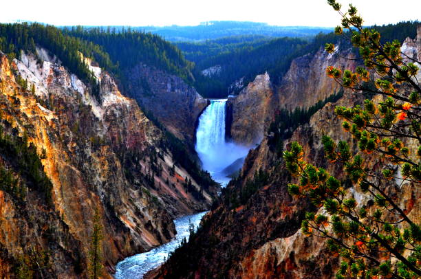 istock Yellowstone National Park 1336348736