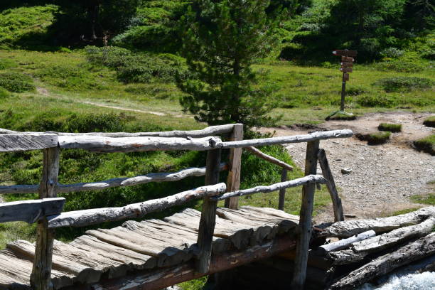istock A wooden bridge on a hiking path in Southtyrol 1336349156