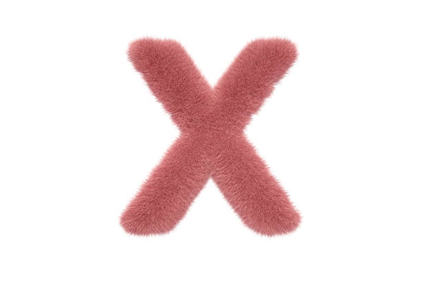 3D Rendering Letter X with Pink Fluffy Hairy Fur Uppercase Alphabet