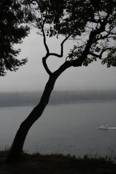 Dark moody day, a boat motoring along the water with a tree in the foreground