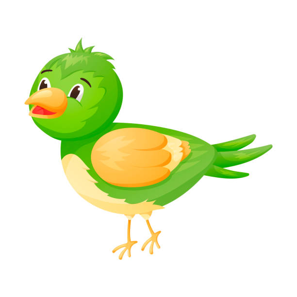 Vector Isolated Image Of Cartoon Character Green Baby Bird With Bright Plumage Stock Illustration - Download Image Now - iStock Vector Isolated Image Of Cartoon Character Green Baby Bird With Bright Plumage Stock Illustration - Download Image Now - iStock
