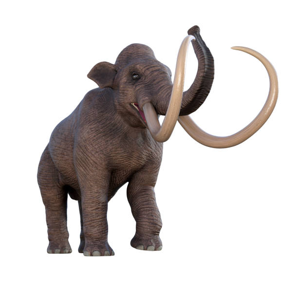 istock Columbian Mammoth Trumpeting 1336353434