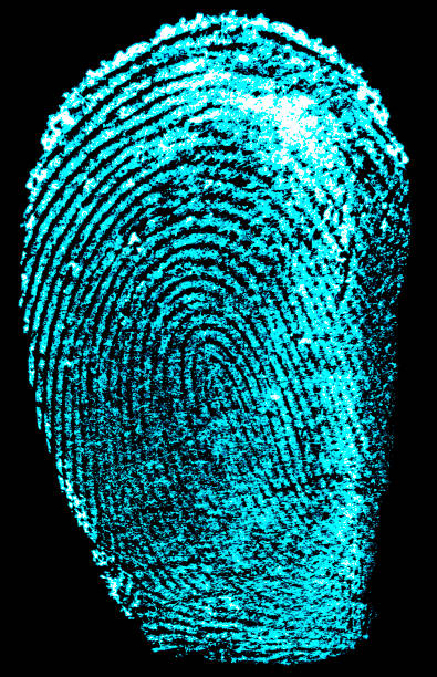 istock Fingerprint biometric identity and approval. Fingerprint on a black background. Fingerprint with ultraviolet lamp. 1336353585