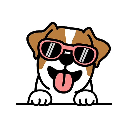 Cute jack russell terrier dog with sunglasses cartoon, vector illustration