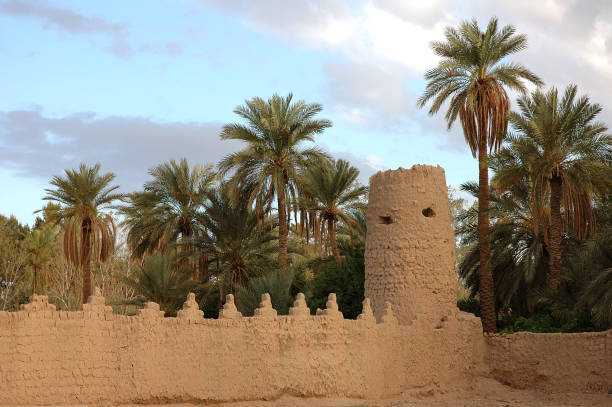istock Palm grove of  Figuig in south-eastern Morocco 1336354789
