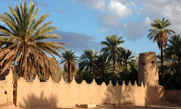 istock Palm grove of  Figuig in south-eastern Morocco 1336355659