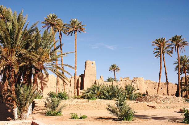 istock Palm grove of  Figuig in south-eastern Morocco 1336357097