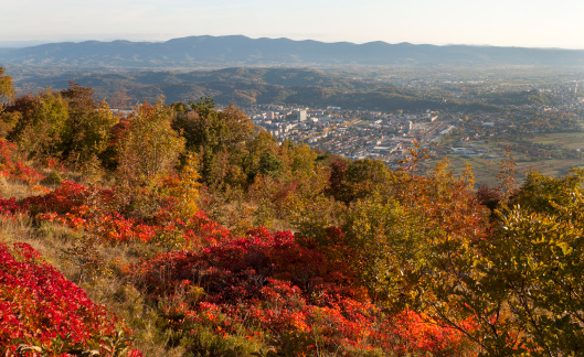 View of Nova Gorica and Gorizia from autumnal hill Sabotin, Slovenia-Italy border, Europe.
