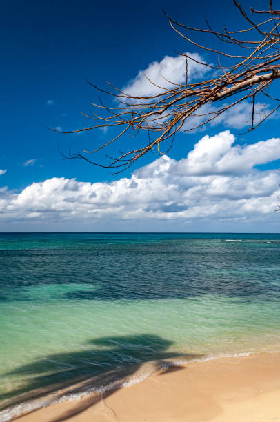 istock Guardalavaca club amigo beach Cuba 1336359945