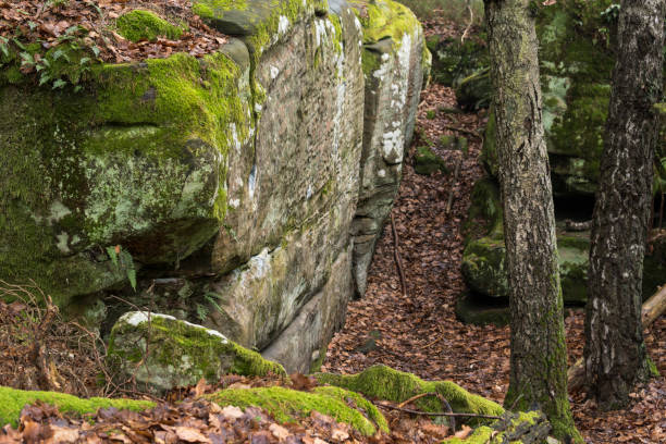 istock landscape with sandstone rock formation 1336362884