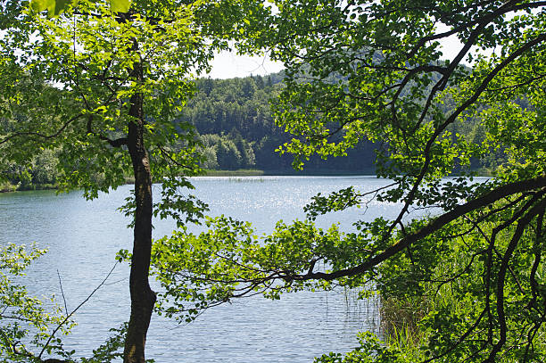 istock Lake in forest, Plitvica Croatia. 133636372