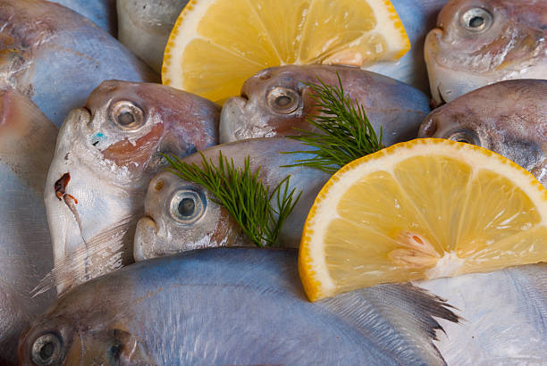 Fresh fish stock photo