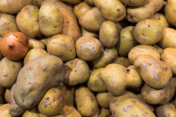 istock Product in a grocery store. Background with selective focus. 1336369485