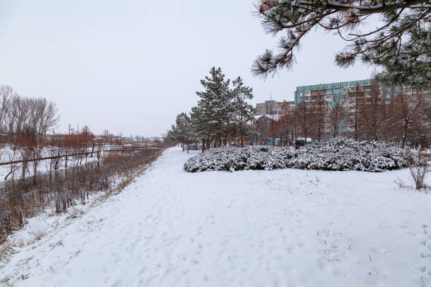 istock Winter beautiful and calm landscape with snow. Background with copy space for text 1336369535