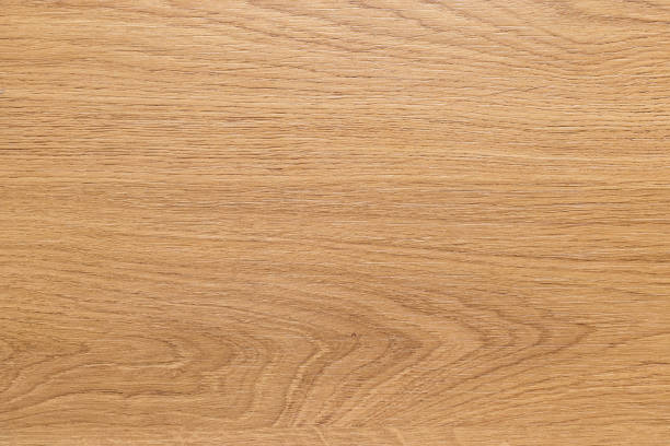 istock Light rough textured cut surface of an African tree. Wood background or blank for design 1336369775