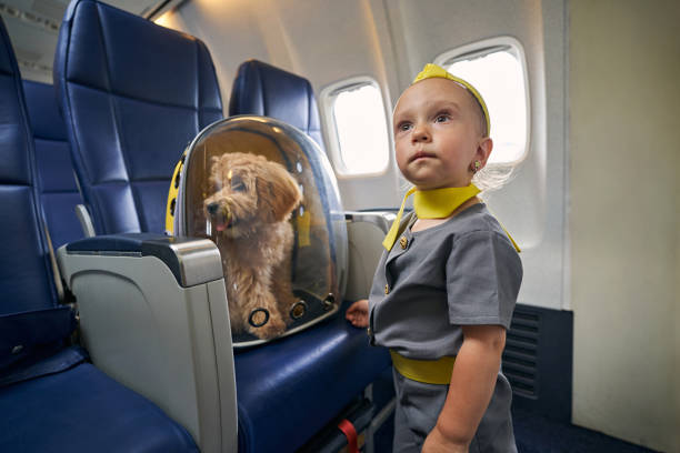 istock Young female traveler and her poodle aboard the passenger plane 1336369876
