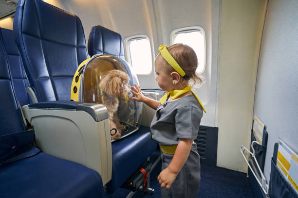 istock Blonde female child touching a transparent pet carrier backpack 1336369883